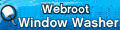 Window Washer